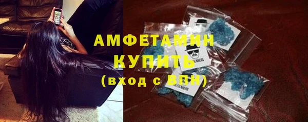 шишки Медвежьегорск
