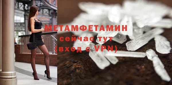 шишки Медвежьегорск