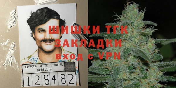 шишки Медвежьегорск