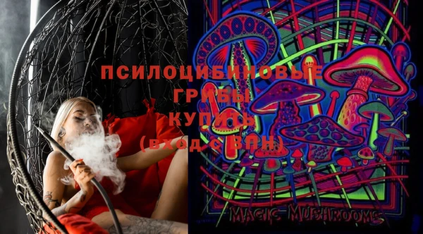 PSILOCYBIN Богородск