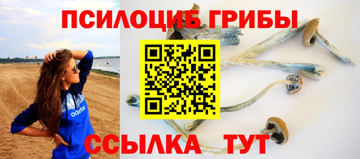 Галлюциногенные грибы Psilocybine cubensis Вичуга